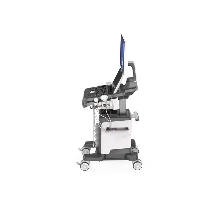 Viv 40 with 4D Probe and 4D Software
